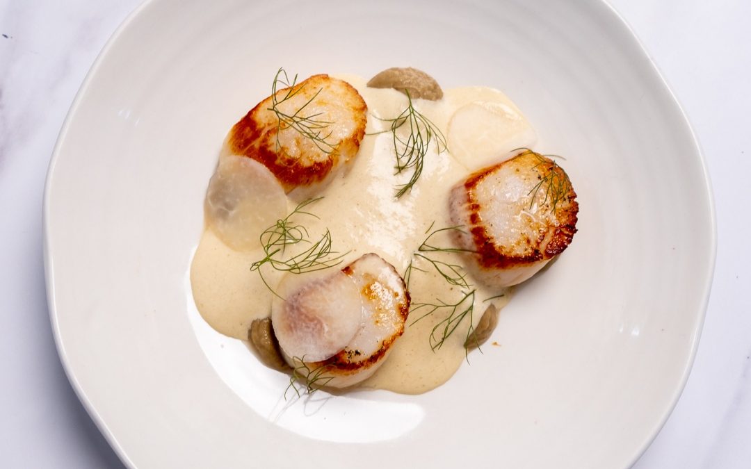 Orkney Hand Dived Scallops in Cheshire