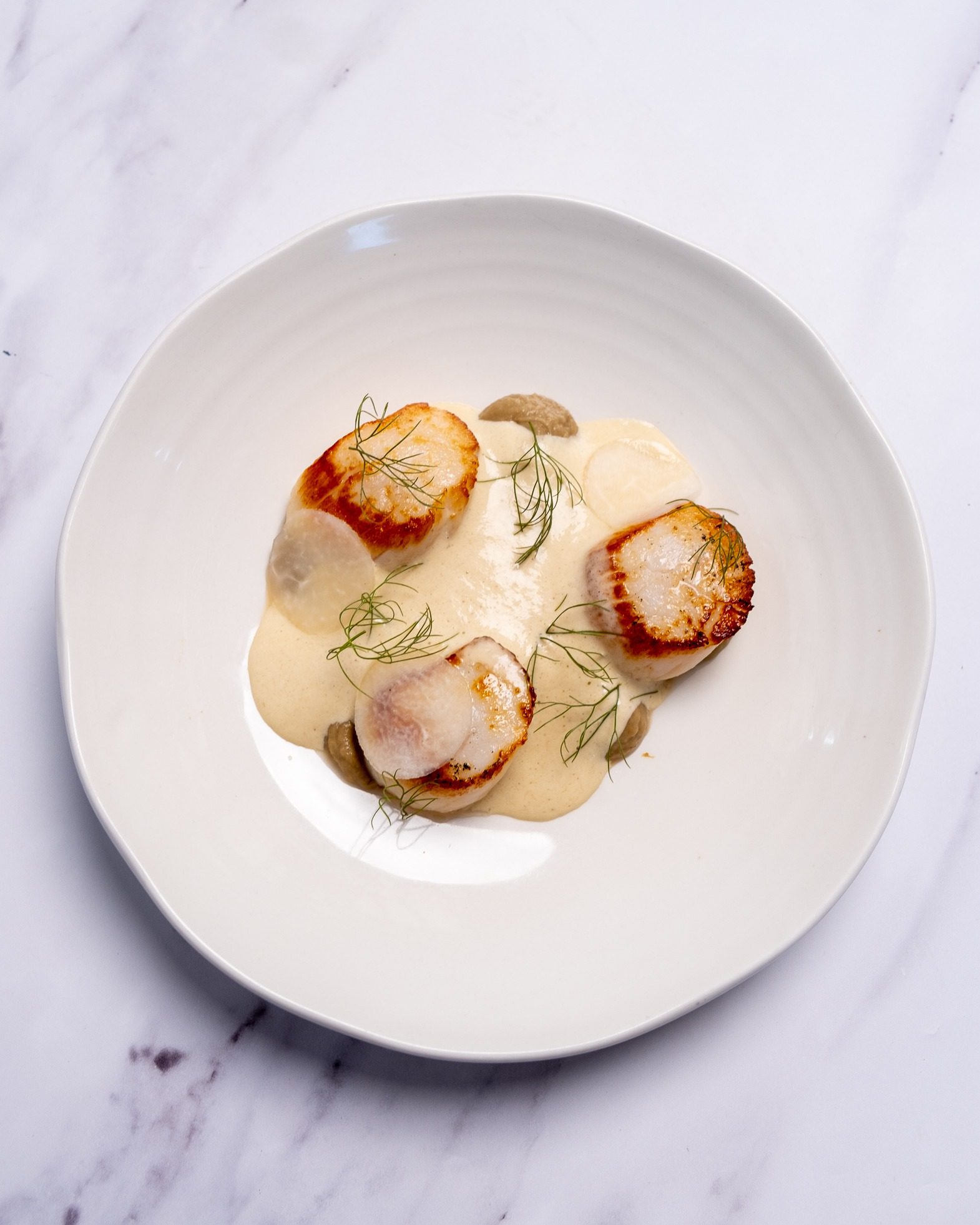 Orkney Hand Dived Scallops in Cheshire La Popote