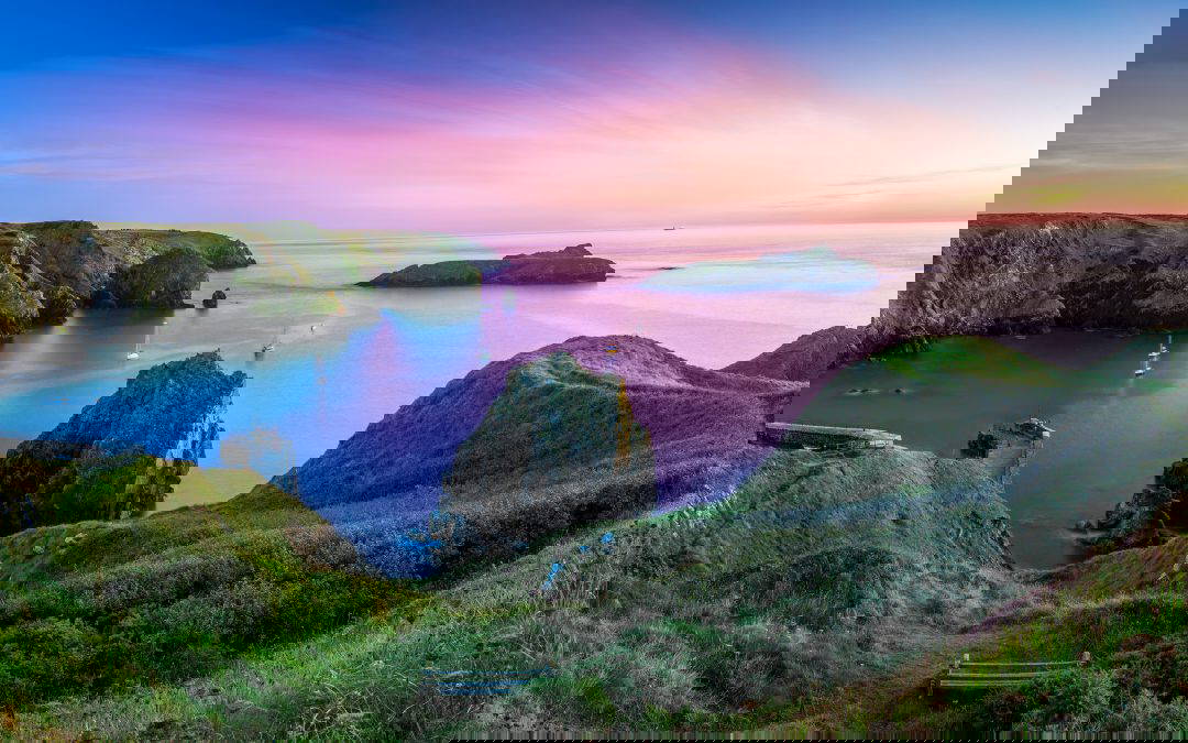 A Closer Look: Cornish Turbot