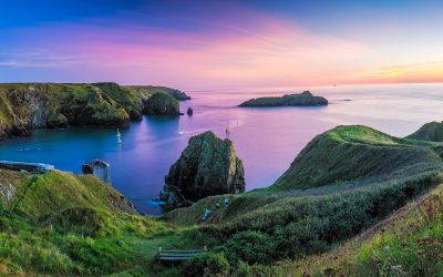 A Closer Look: Cornish Turbot