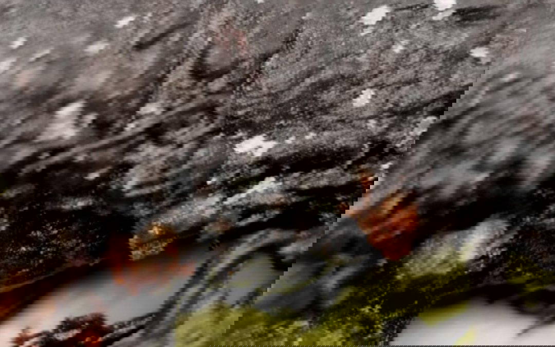 Soft-Shell Crab at La Popote